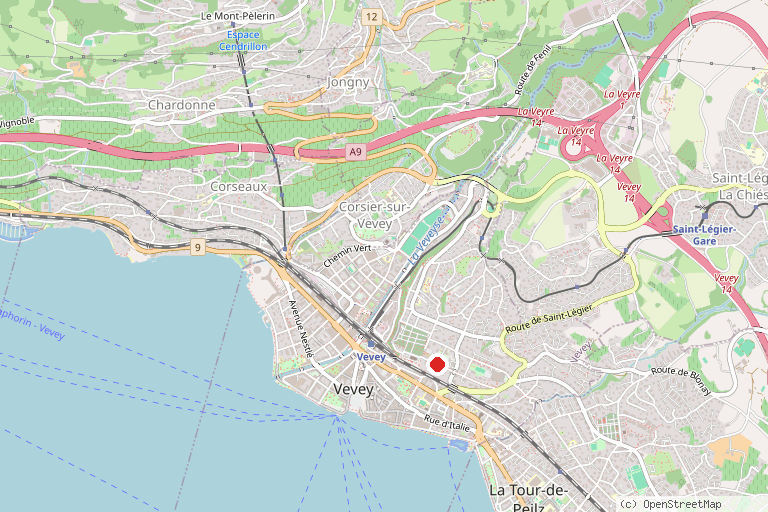 Karte mit der Lage von Graffiti-Wände Vevey