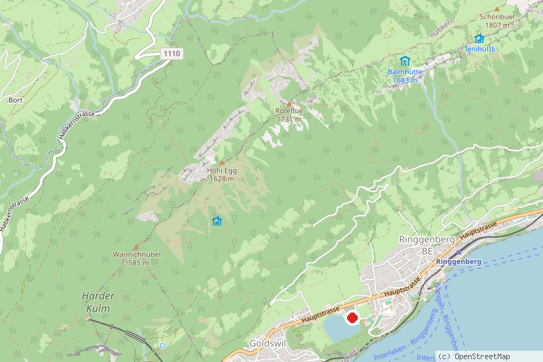 Karte mit der Lage von Zurich vitaparcours Ringgenberg