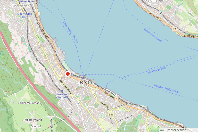 Karte mit der Lage von Monkey Town Horgen