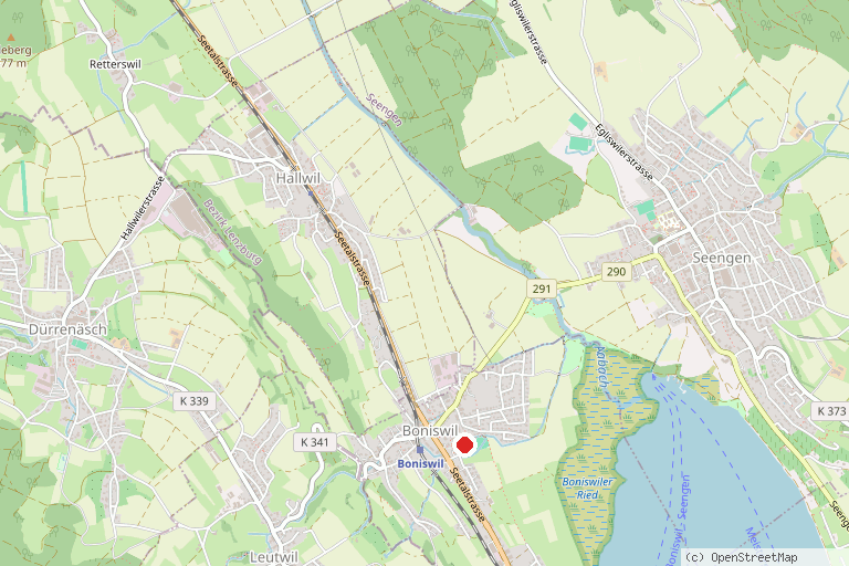 Karte mit der Lage von Boniswiler-Seenger Ried